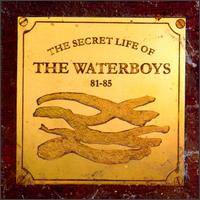The Waterboys : The Secret Life of the Waterboys 81–85